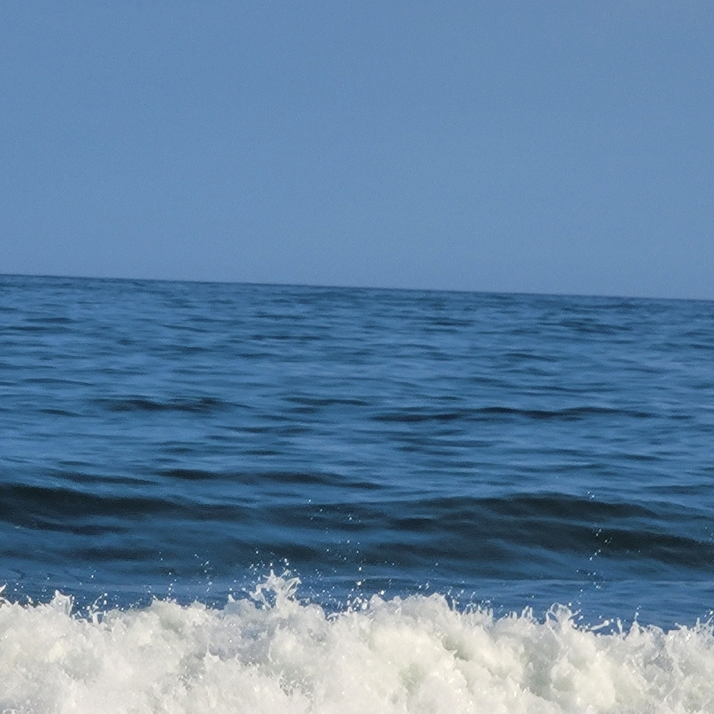 Meet your Posher, Jane